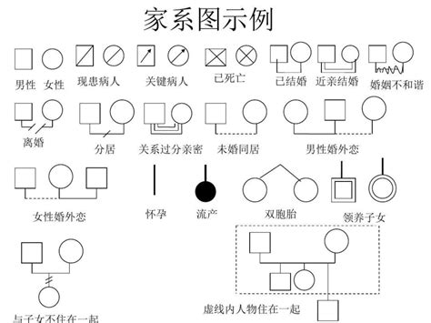 家庭關係圖畫法|在線家系圖軟件工具